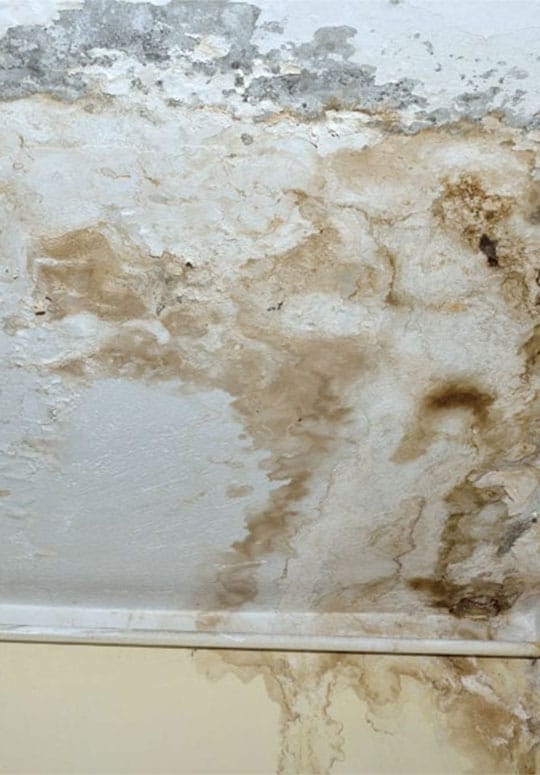 Common Causes of Water Damage in Tucson